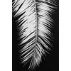 Tableau Alu Dibond