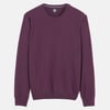 Violet Prune