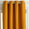 Ocre