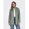 Agave Green