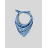 Bleu Moyen