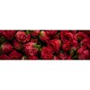Tableaux Sur Toile-Rouge