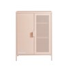 Rose Blush / Tcx 14-1312