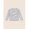 Gris, Argent