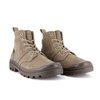 Bone Brown