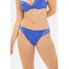 Bleu Flamboyant