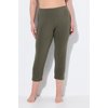 Gris Olive