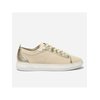 Beige / Champagne