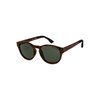 Marron Tortoise Brown/Green Plz