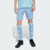 Ash Blue