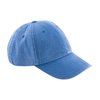 Bleuet