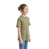 Vert Olive