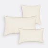 White Ecru