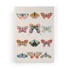 Imprimé Papillons 1