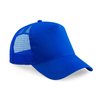 Bleu Roi Vif