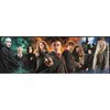 Puzzle Harry Potter Clementoni