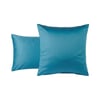 Bleu Paon