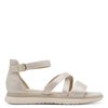 Beige Dune