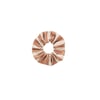 Marron Noisette