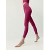 Rouge Prune