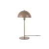 Selle Marron