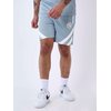 Bleu Gris