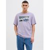 Languid Lavender