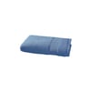 Agapanthe