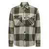 Green/Ecru Check