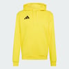 Team Yellow / Black
