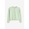 Vert Menthe