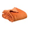 Ambre
