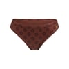 Marron Chocolate Plum Polkabiscus