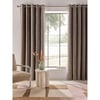 Marron Mink