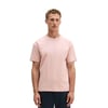Rose Pale