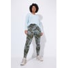 Gris Olive