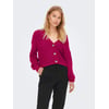Rose - Cerise 1