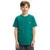 Bleu Teal Green
