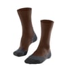 Chestnut (5534)