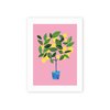 Unframed