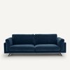 Blu Pavone