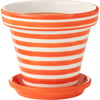 Orange Et Blanc