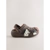 Chien Marron