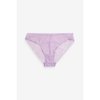 Violet Lilas