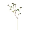Vert Foncé