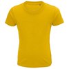 Bouton D'Or