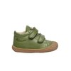 Vert Olive