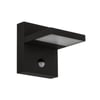 Gris Graphite (Ral 840-M)
