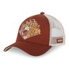 Marron/Beige/Orange