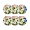 Blanc-Bleu-Rouge-Vert